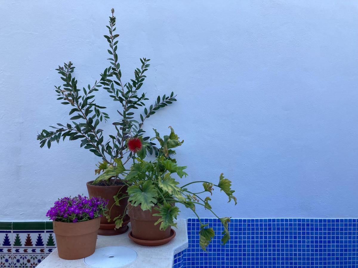 Casa Clemente 32, Private House With Plunge Pool Διαμέρισμα Μάλαγα Εξωτερικό φωτογραφία