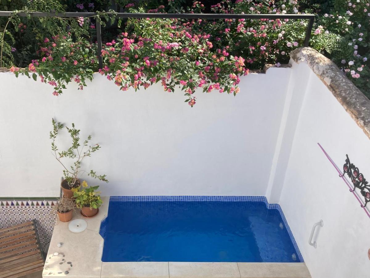 Casa Clemente 32, Private House With Plunge Pool Διαμέρισμα Μάλαγα Εξωτερικό φωτογραφία