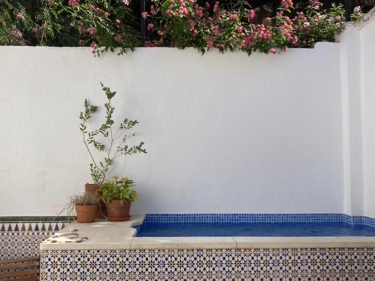 Casa Clemente 32, Private House With Plunge Pool Διαμέρισμα Μάλαγα Εξωτερικό φωτογραφία